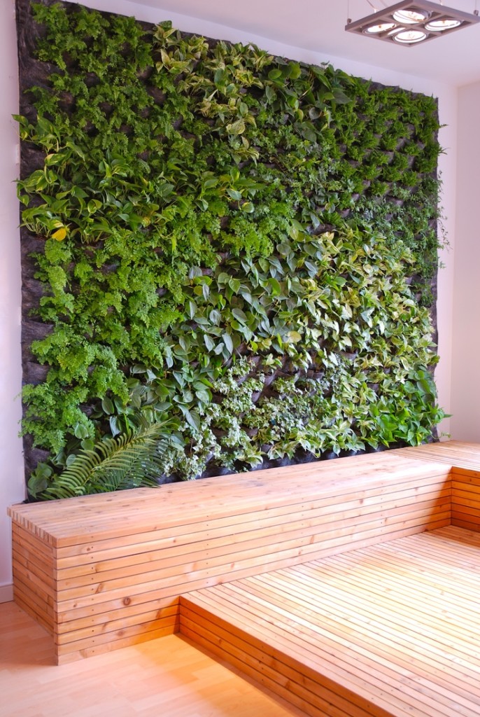 vertical_garden_12