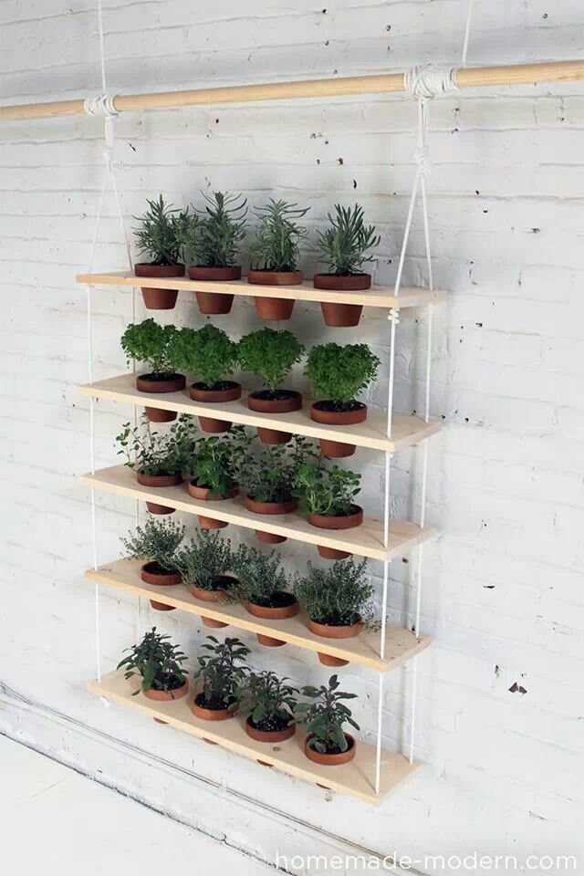 vertical_garden_3