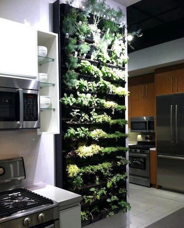 vertical_garden_4