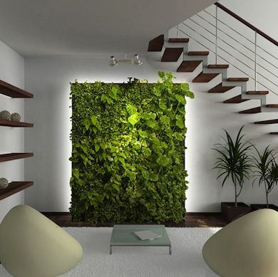 vertical_garden_6