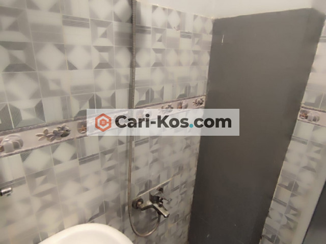 Kost New V1